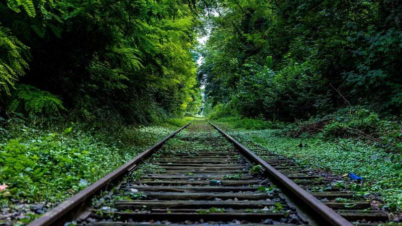 Phân tích chuyên sâu hình ảnh Tìm hiểu mạng chuyên sâu Deep Web và thế giới ngầm