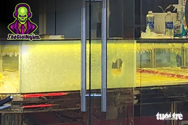 Vụ Cướp Tiệm Vàng Tại Hóc Môn: Bài Học Cảnh Tỉnh Cho Xã Hội