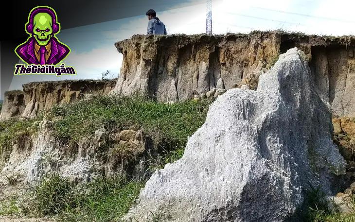 Sắp Xếp Lại Bộ Máy Quản Lý